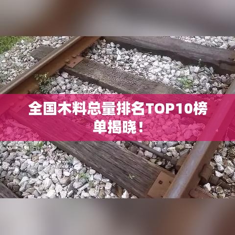 全国木料总量排名TOP10榜单揭晓！