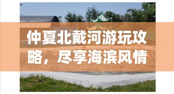 腾龙换鸟