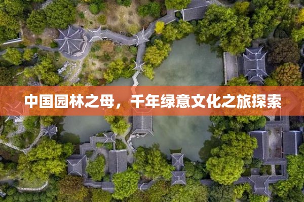 新闻中心 第29页