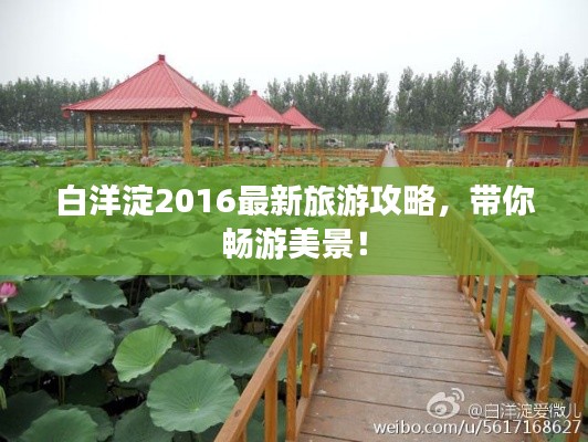 改弦更张