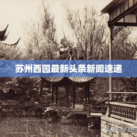 比翼鸟