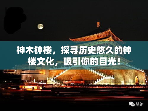 明夷于飞