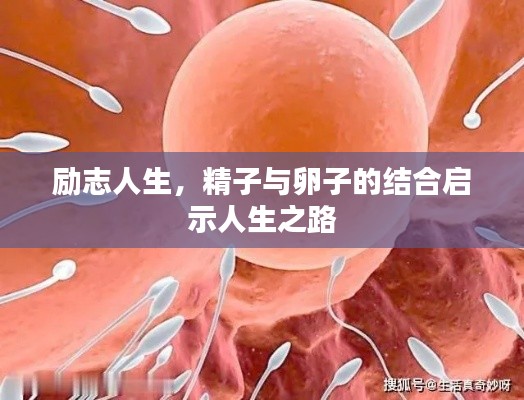 布被瓦器