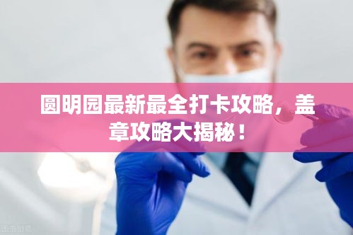 娇小玲珑
