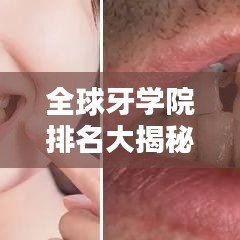 全球牙学院排名大揭秘，实力解析，专业选择参考！
