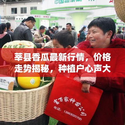 莘县香瓜最新行情，价格走势揭秘，种植户心声大揭秘！