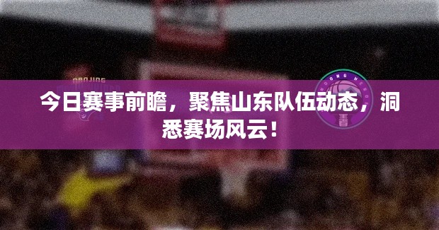 今日赛事前瞻，聚焦山东队伍动态，洞悉赛场风云！