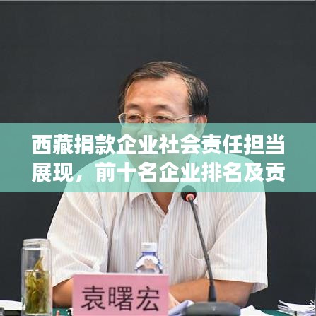 西藏捐款企业社会责任担当展现，前十名企业排名及贡献盘点